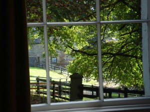Through the window-06.jpg